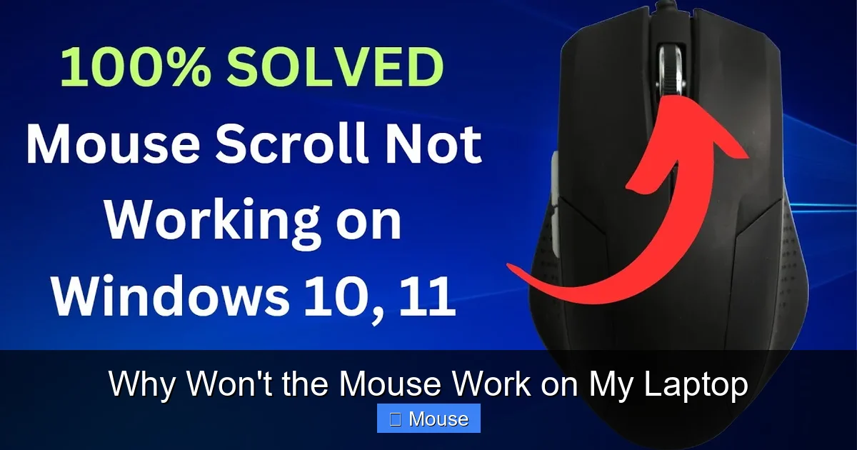 Why Won't the Mouse Work on My Laptop