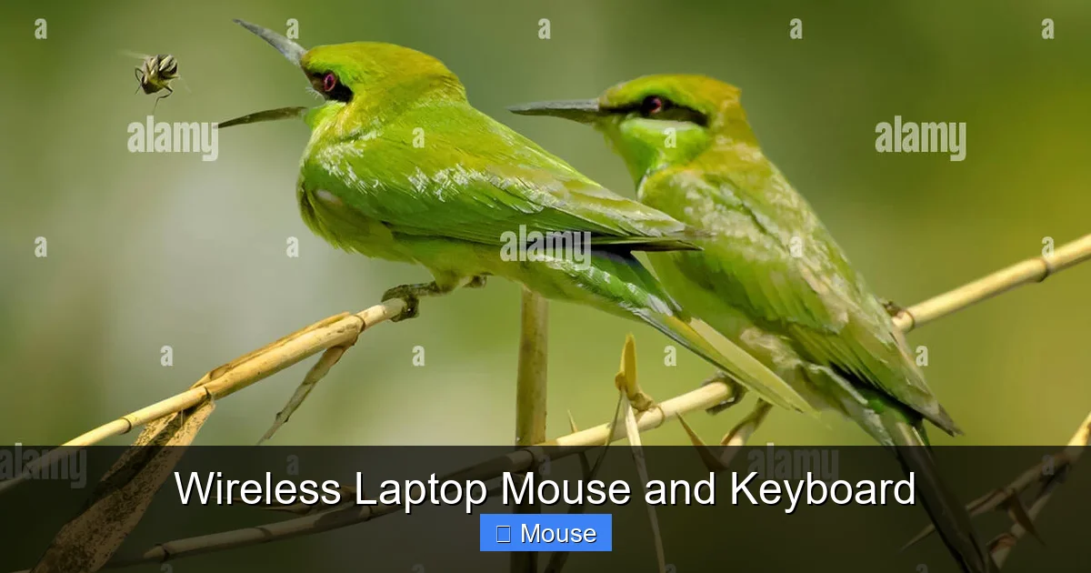 Wireless Laptop Mouse and Keyboard