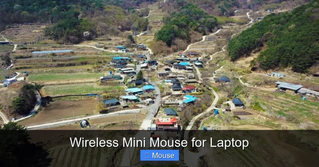 Wireless Mini Mouse for Laptop