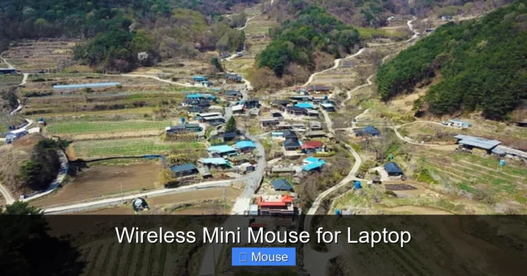 Wireless Mini Mouse for Laptop