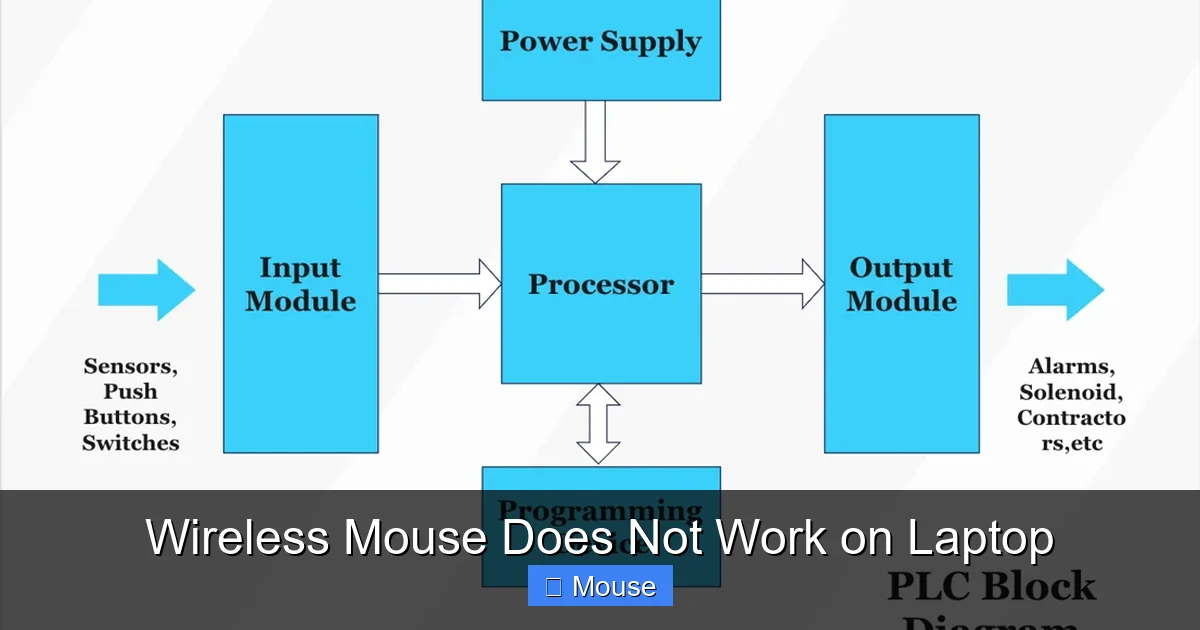 Wireless Mouse Does Not Work on Laptop