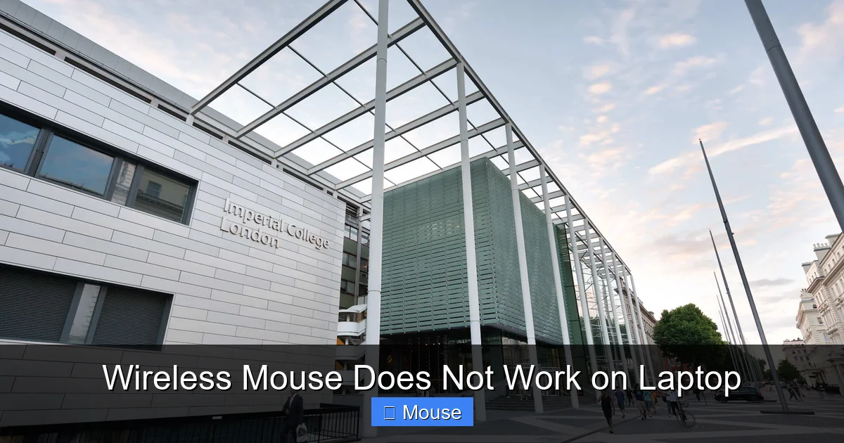 Wireless Mouse Does Not Work on Laptop