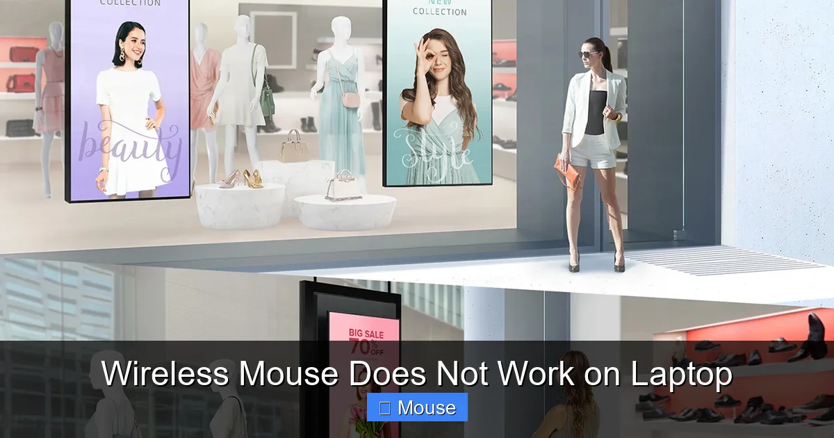 Wireless Mouse Does Not Work on Laptop