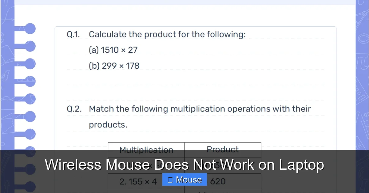 Wireless Mouse Does Not Work on Laptop