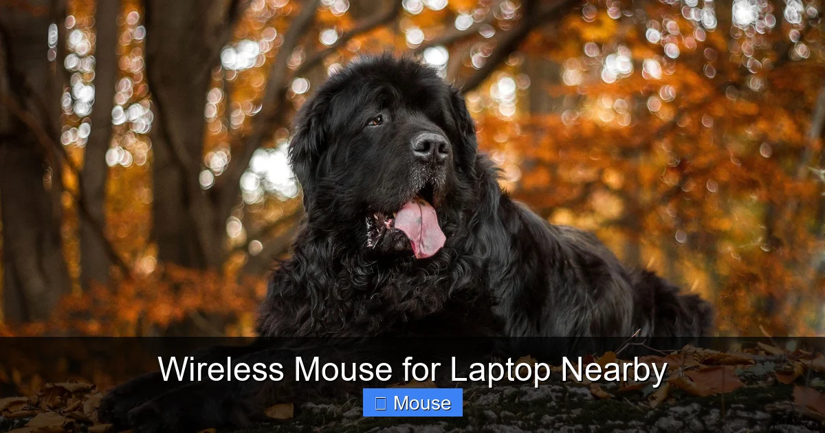 Wireless Mouse for Laptop Nearby