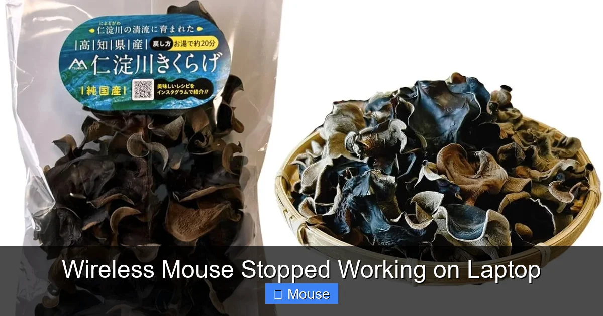 Wireless Mouse Stopped Working on Laptop