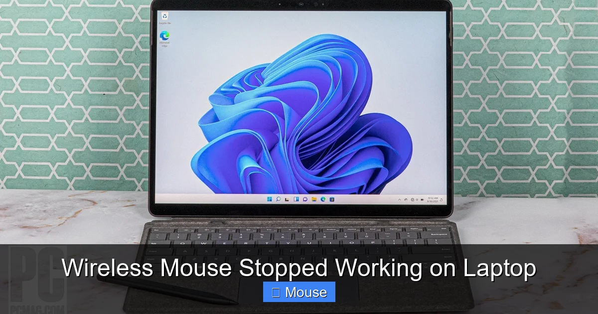 Wireless Mouse Stopped Working on Laptop