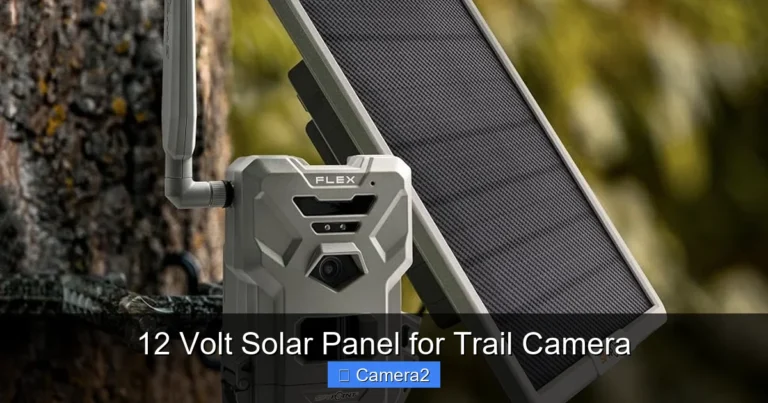 12 Volt Solar Panel for Trail Camera
