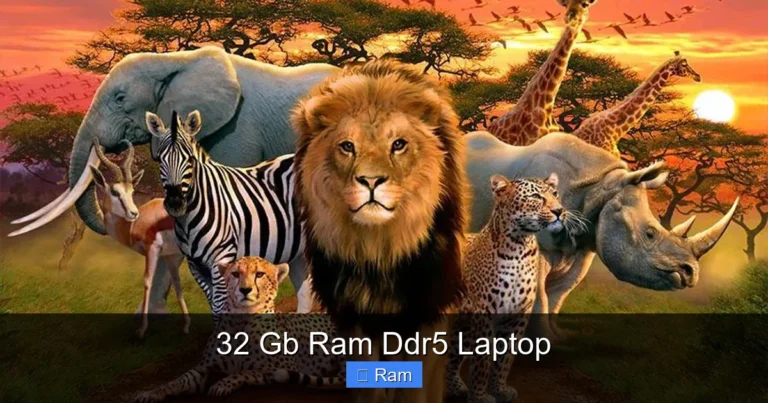 32 Gb Ram Ddr5 Laptop