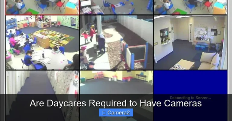 Are Daycares Required to Have Cameras
