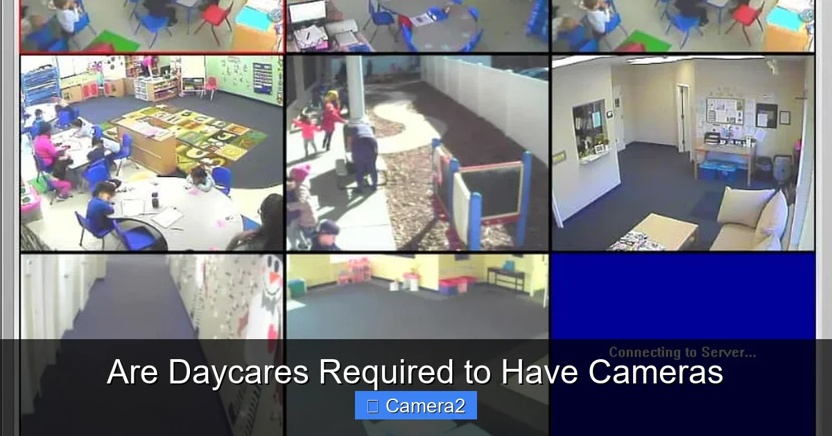 Are Daycares Required to Have Cameras