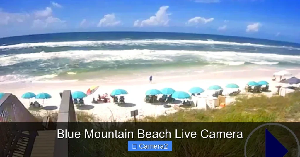 Blue Mountain Beach Live Camera