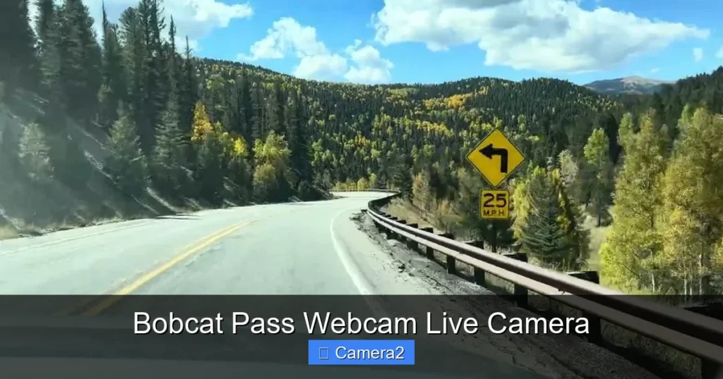Bobcat Pass Webcam Live Camera