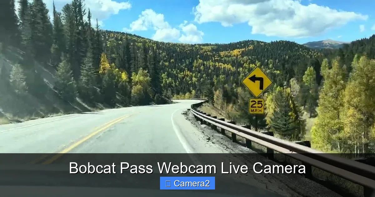 Bobcat Pass Webcam Live Camera