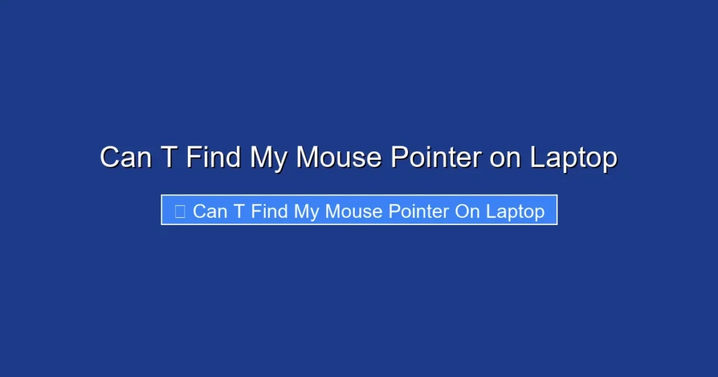 Can T Find My Mouse Pointer on Laptop