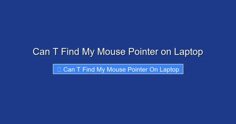 Can T Find My Mouse Pointer on Laptop