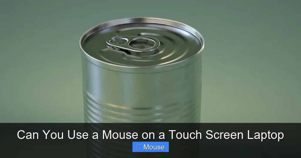 Can You Use a Mouse on a Touch Screen Laptop