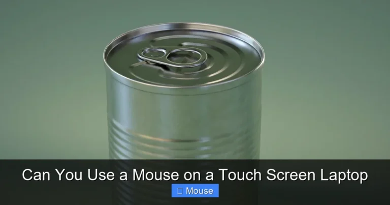 Can You Use a Mouse on a Touch Screen Laptop