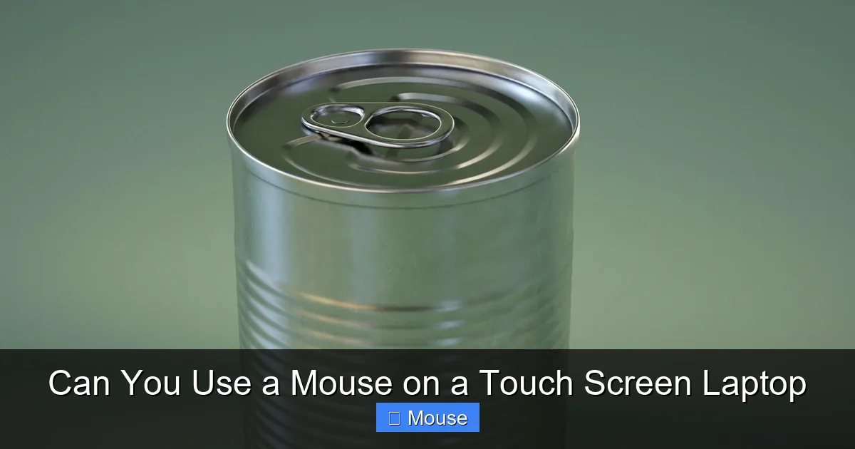 Can You Use a Mouse on a Touch Screen Laptop