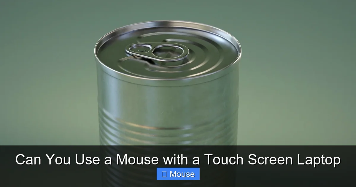 Can You Use a Mouse with a Touch Screen Laptop