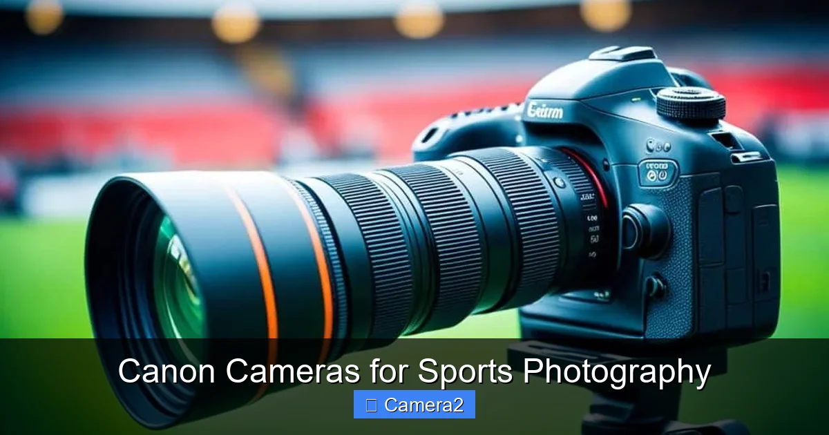Canon Cameras for Sports Photography