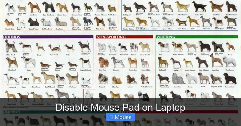 Disable Mouse Pad on Laptop