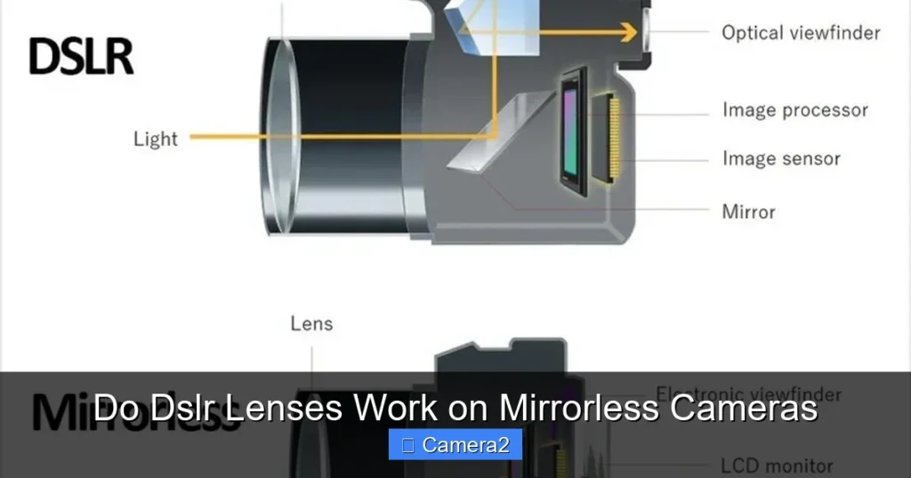 Do Dslr Lenses Work on Mirrorless Cameras
