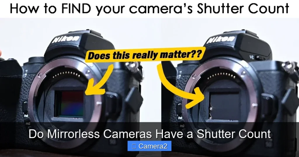 Do Mirrorless Cameras Have a Shutter Count