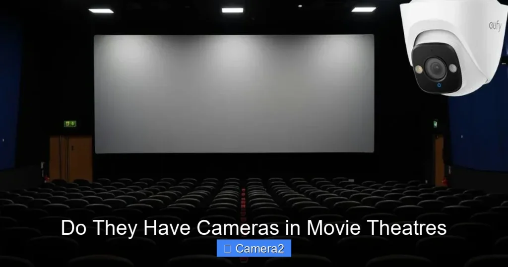 Do They Have Cameras in Movie Theatres