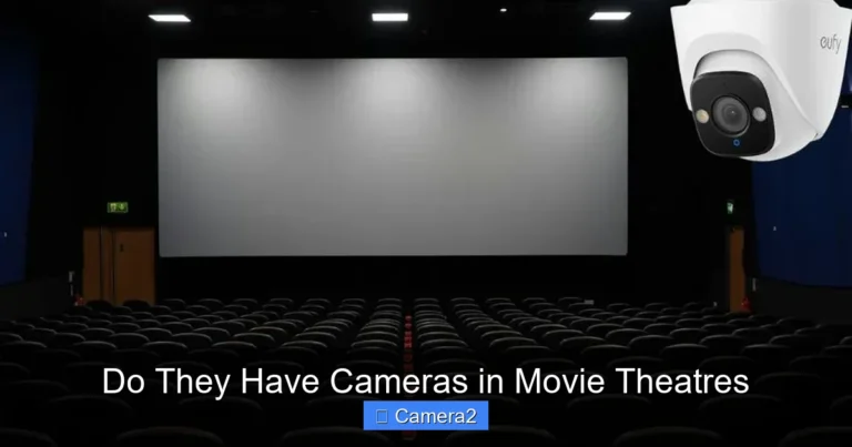 Do They Have Cameras in Movie Theatres
