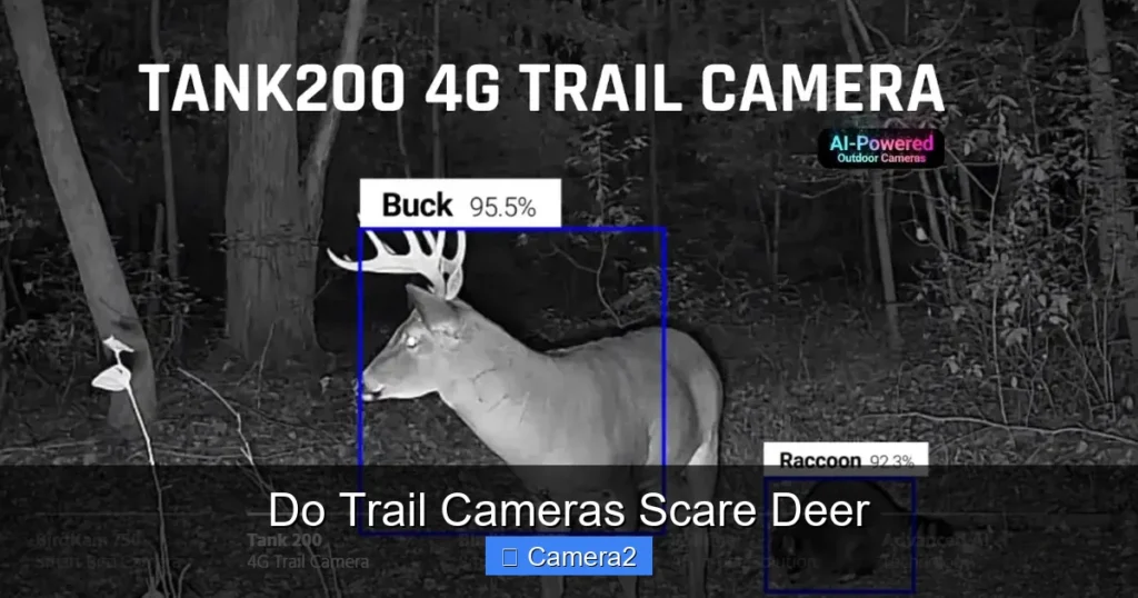 Do Trail Cameras Scare Deer