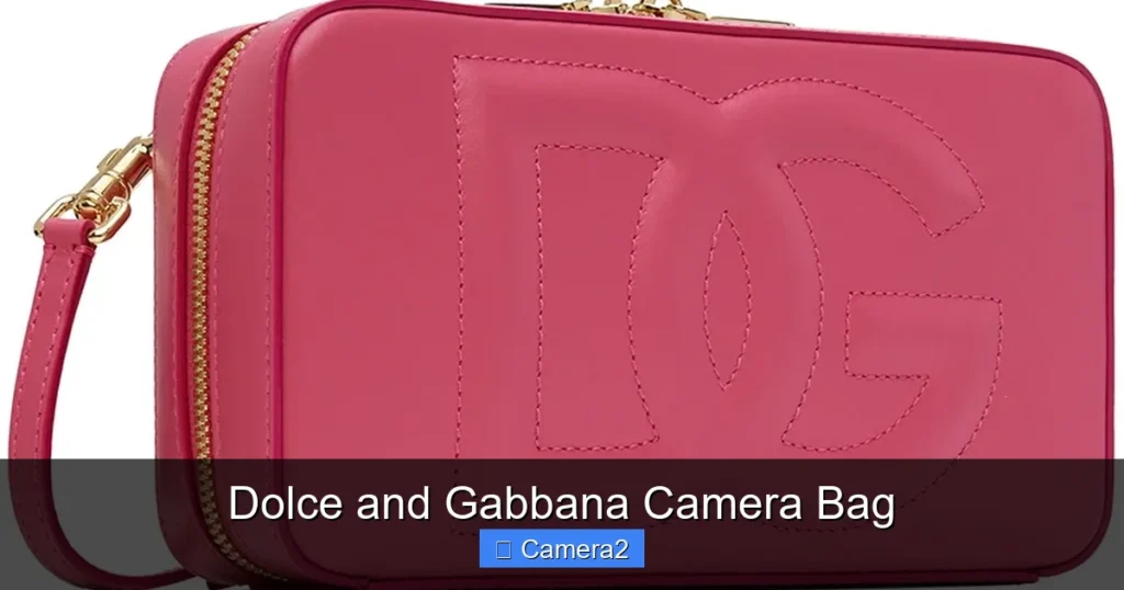 Dolce and Gabbana Camera Bag