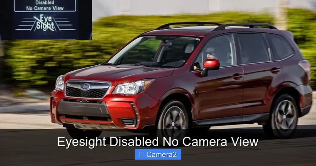 Eyesight Disabled No Camera View