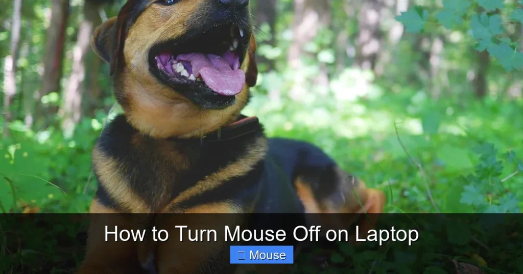 How to Turn Mouse Off on Laptop