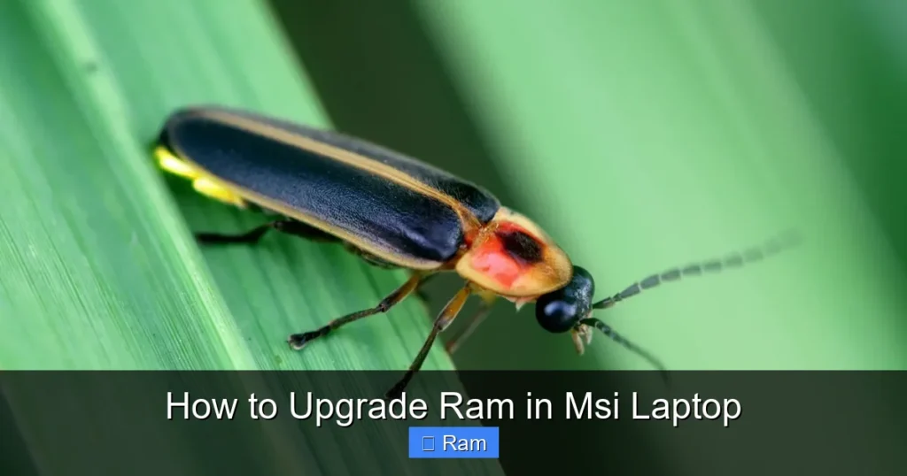 How to Upgrade Ram in Msi Laptop