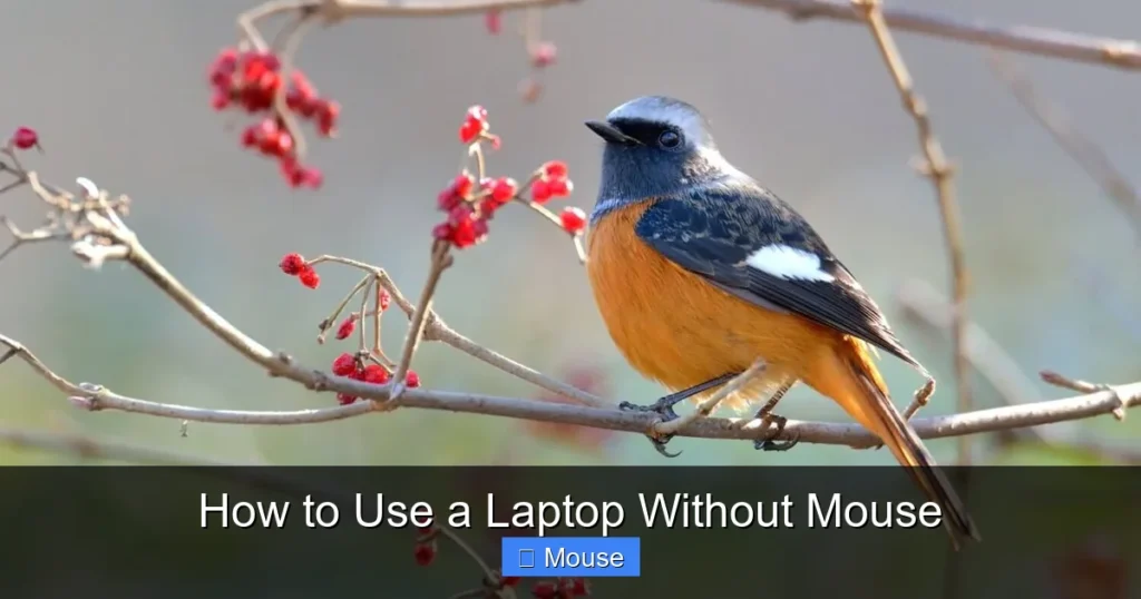 How to Use a Laptop Without Mouse