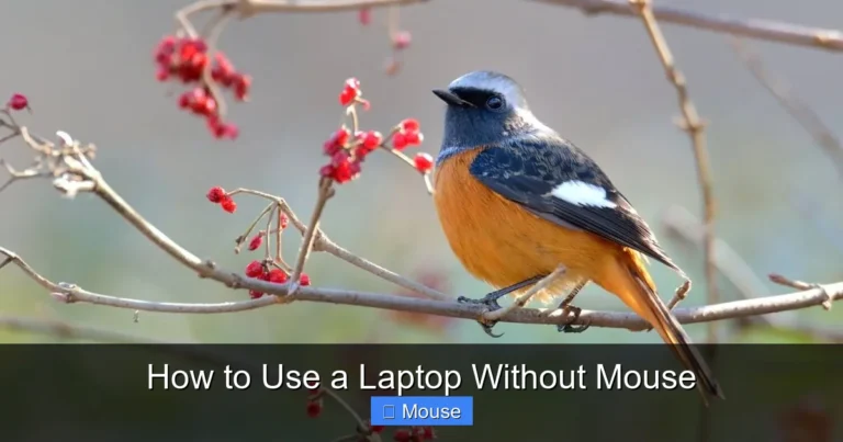 How to Use a Laptop Without Mouse