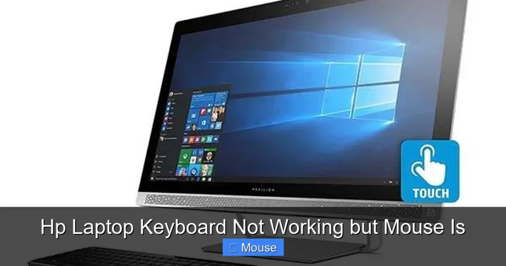 Hp Laptop Keyboard Not Working but Mouse Is