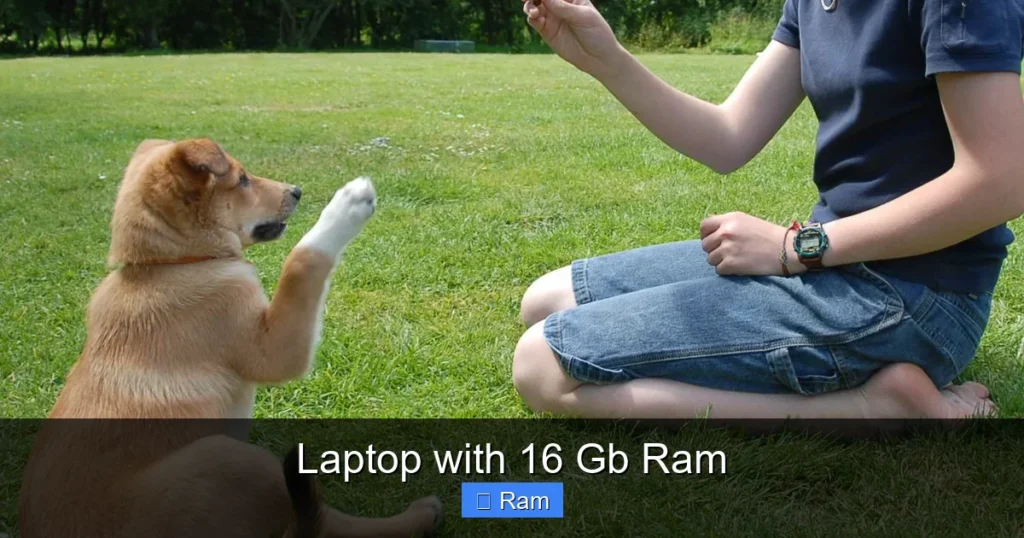 Laptop with 16 Gb Ram