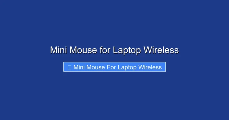 Mini Mouse for Laptop Wireless