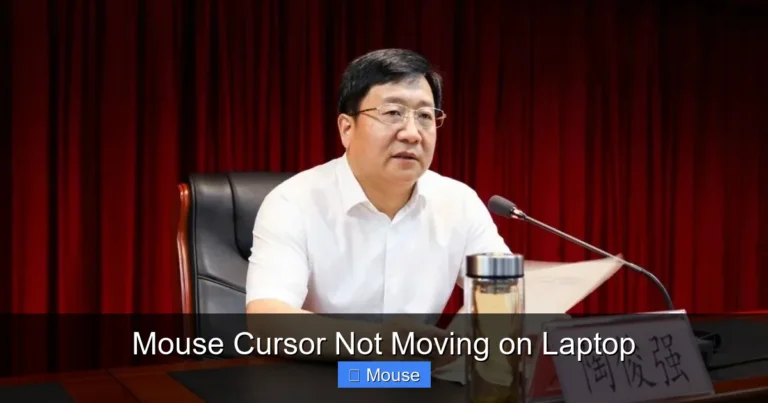 Mouse Cursor Not Moving on Laptop