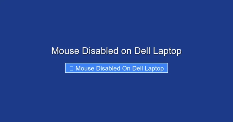 Mouse Disabled on Dell Laptop