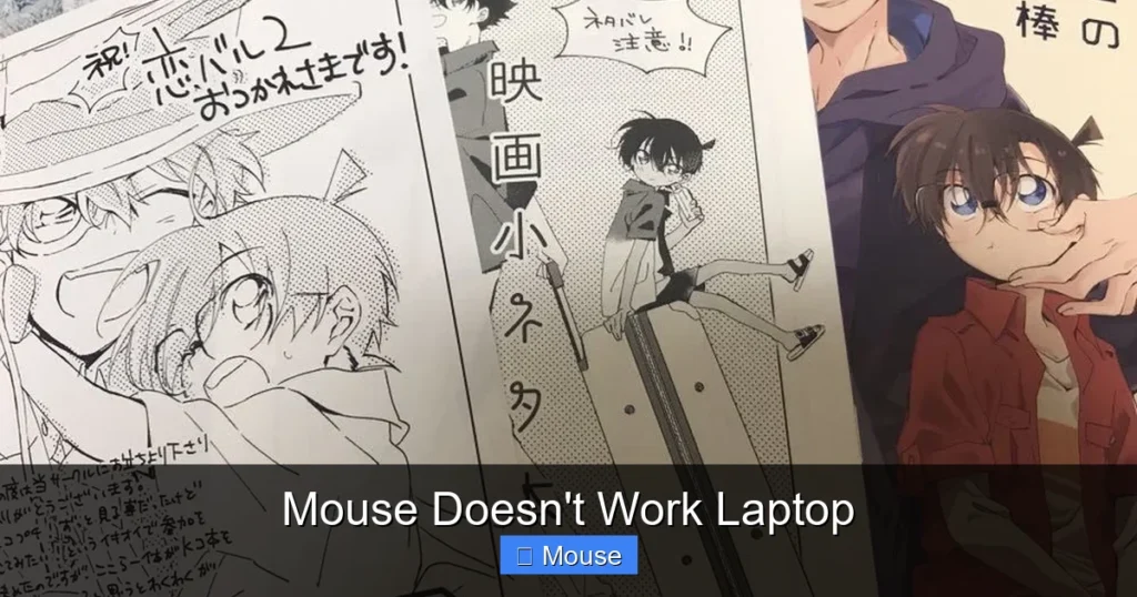 Mouse Doesn't Work Laptop
