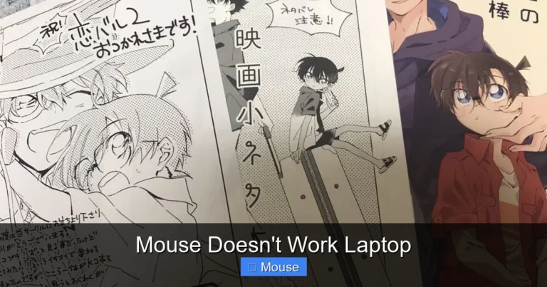 Mouse Doesn't Work Laptop