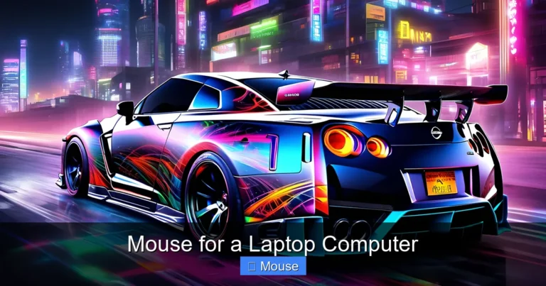 Mouse for a Laptop Computer