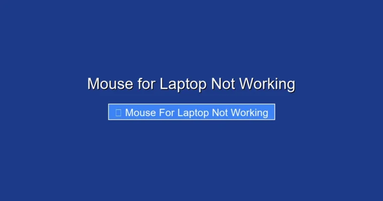 Mouse for Laptop Not Working