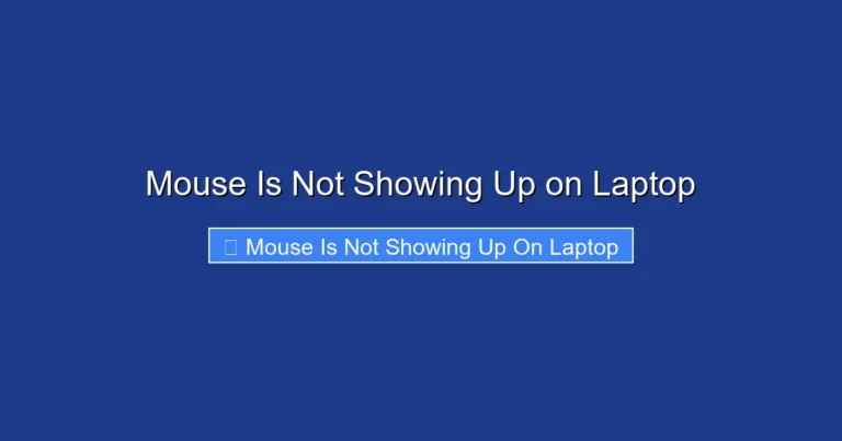 Mouse Is Not Showing Up on Laptop