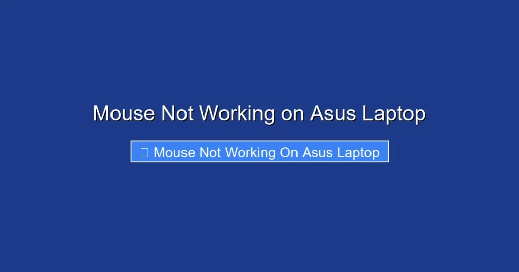 Mouse Not Working on Asus Laptop