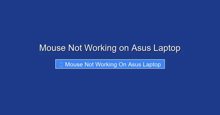 Mouse Not Working on Asus Laptop