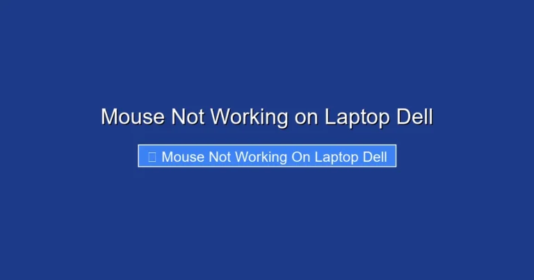 Mouse Not Working on Laptop Dell